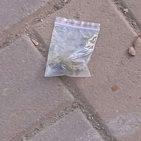 מה מצא תושב שכונת עמישב על המדרכה ברחוב? - חדשות בפתח תקווה