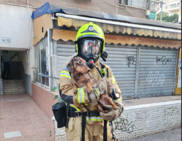 סיר שבער ונשכח על הכיריים גרם לשריפה בדירת מגורים ברחוב אושיסקין, - חדשות בפתח תקווה