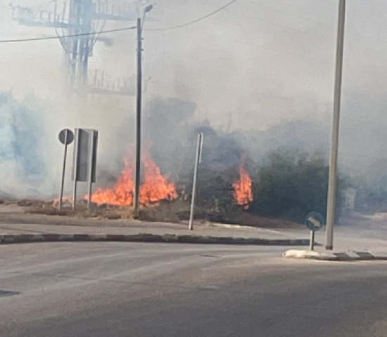 שריפה פרצה בשדה זרדים בהמשך של רחוב גובר סמוך לכניסה לירקון (וידיאו) - חדשות בפתח תקווה