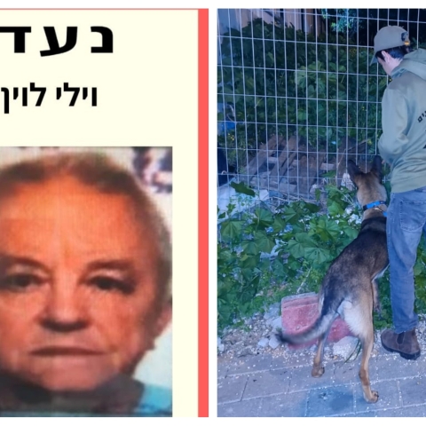 לאחר מאמצי חיפוש נרחבים, אותר הנעדר בסיכון מפתח תקווה (וידיאו) - חדשות בפתח תקווה