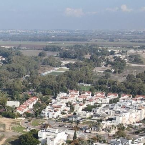 התחדש המאבק נגד כריתת 3,400 עצים בשל תכנית הבנייה במחנה סירקין - איכות הסביבה וחזות העיר בפתח תקווה