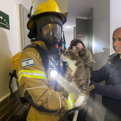 שריפה פרצה בדירה ברח' לוין בפתח תקווה (וידיאו) - חדשות בפתח תקווה