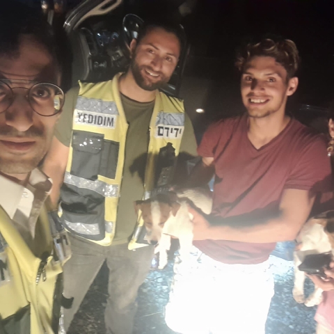 ידידים טובים של הכלבים - חדשות בפתח תקווה