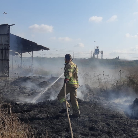  שריפת חורש וקוצים סמוך לכביש 5 - חדשות בפתח תקווה