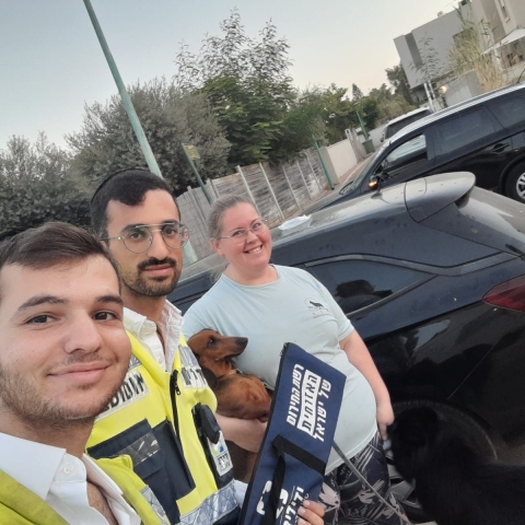 3 כלבים ננעלו ברכב לעיני בעליהם - בעלי חיים בפתח תקווה