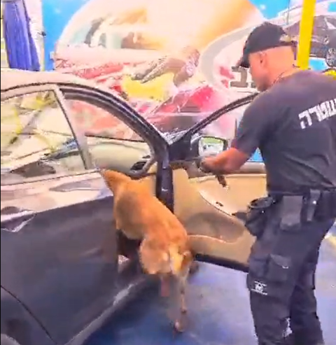 השוטר בעל ריח מחודד איתר את האקדח הטעון ברכב במתקן שטיפת מכוניות - חדשות בפתח תקווה