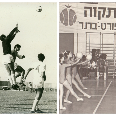 ספורט בפתח תקווה זה אומנות - תערוכה חדשה של אגודות הספורט הפועל ומכבי פתח תקווה - תרבות ופנאי בפתח תקווה