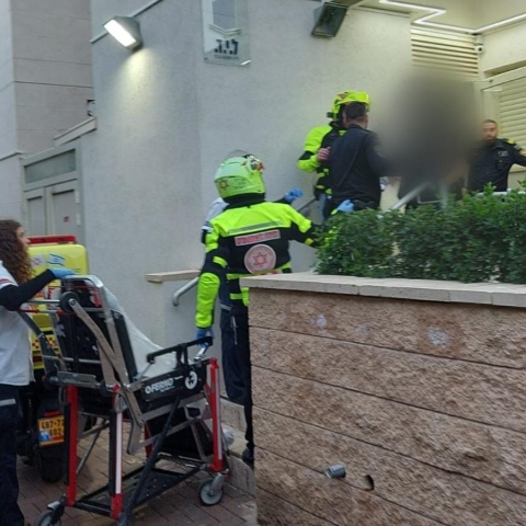 לאור יום: קרבות עזים בפתח תקווה - חדשות בפתח תקווה