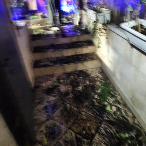 נעצרו 3 חשודים במעורבות בהשלכות רימונים ובמעשי וונדליזם בפתח תקווה - חדשות בפתח תקווה