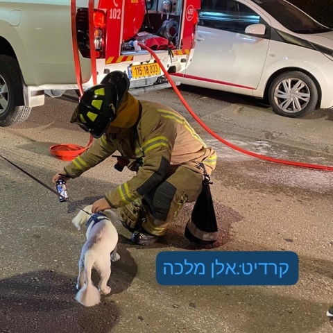 אמש: שריפה פרצה בדירה ברח' קלישר בפ"ת, חולץ כלב מהשריפה - חדשות בפתח תקווה