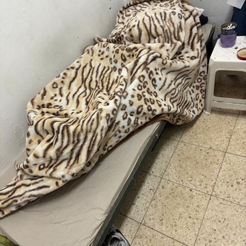 חשפו את "התחפושת" - קרטונים ובקבוקי מים המכוסים בשמיכה, המדמים אדם ישן במיטתו. - חדשות בפתח תקווה