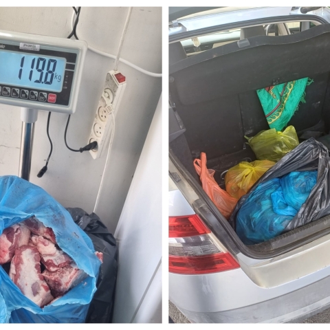 מפקחי משרד החקלאות סיכלו ניסיון הברחה של כ-120 ק"ג בשר כבש טרי מהשטחים - בריאות בפתח תקווה