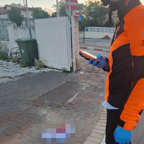 נעצרו  2 חשודים במעורבות בדקירת קטין אמש בפתח תקווה - חדשות בפתח תקווה