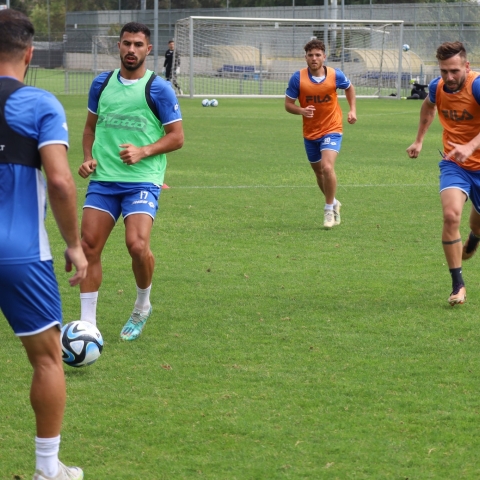 מכת פציעות בהפועל פ"ת, שכטר וקיניונס סיימו את העונה - ספורט בפתח תקווה