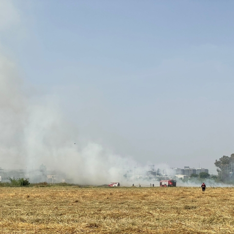 השרב הגיע ואיתו השריפות: שריפת קוצים גדולה פרצה סמוך למתחם הדיפו ירקונים - חדשות בפתח תקווה