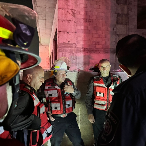 3 שריפות פרצו ב-3 מוקדים באזור פתח תקווה - חדשות בפתח תקווה