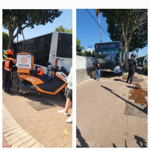 נהג אוטובוס התנגש בעץ ונפצע - חדשות בפתח תקווה
