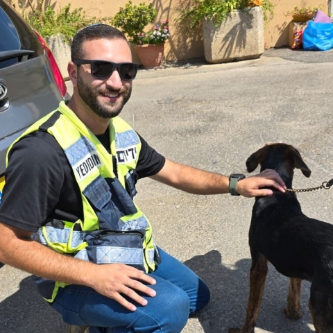 שישי ברח' שוולב: זוג חמודים (לא ילדים) ננעלו ברכב - בעלי חיים בפתח תקווה