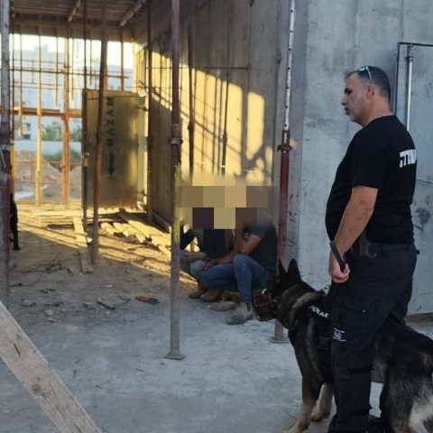 נלכדו 5 שוהים בלתי חוקיים באתר בניה בעיר - חדשות בפתח תקווה