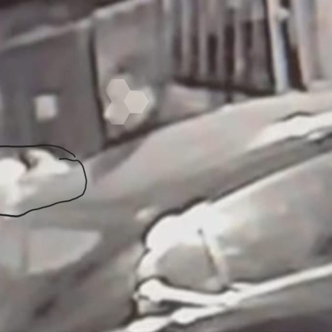פוענח אירוע הירי בפ"ת שכו נפצע תושב העיר באורח קשה, הוגשו כתבי אישום - חדשות בפתח תקווה