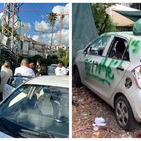 עשרות מפגינים מול ביתו של תושב פ"ת שתקף את שכנתו ואת הכלב שלה - צפו בסרטונים - חדשות בפתח תקווה