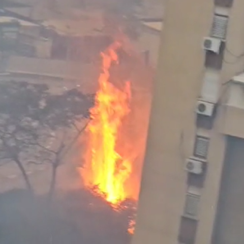 שריפה פרצה סמוך לבניין מגורים בפתח תקווה - חדשות בפתח תקווה