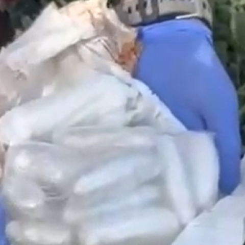 הפתעה בטיטול: סוכל ניסיון להחדיר סמים לבית המעצר בתל אביב - חדשות בפתח תקווה
