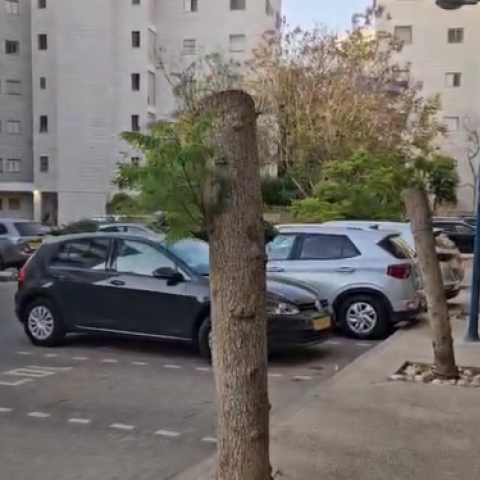 שדרת עצים כרותים בפ"ת - איכות הסביבה וחזות העיר בפתח תקווה