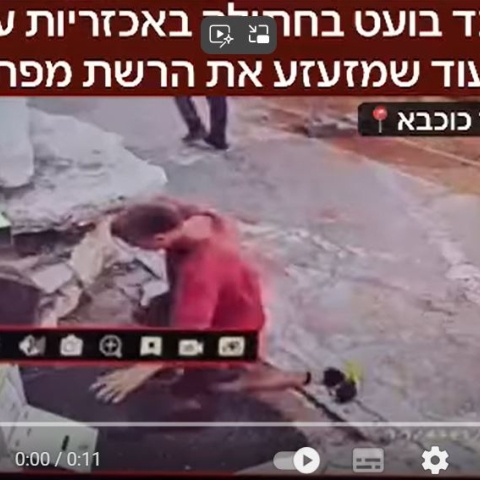 בעט בחתולה למוות ותועד במצלמה - בעלי חיים בפתח תקווה