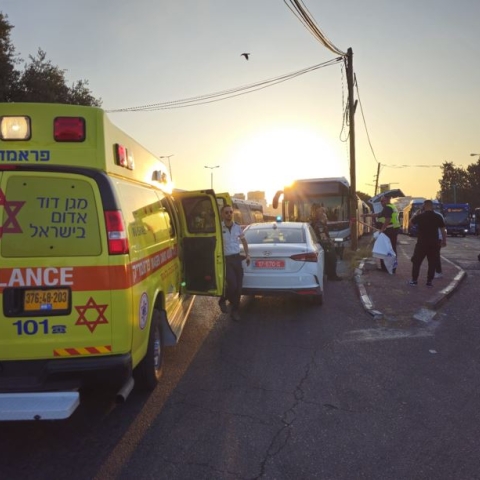 הולך רגל נהרג בתאונת דרכים בפתח תקווה, נהג אוטובוס עוכב לחקירה - חדשות בפתח תקווה