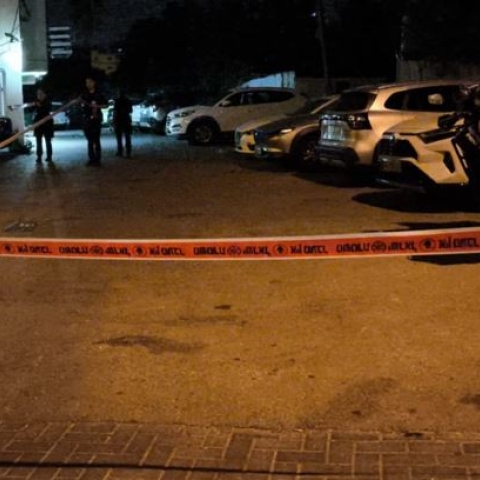 פינת הרימון הלילי בפתח תקווה - חדשות בפתח תקווה