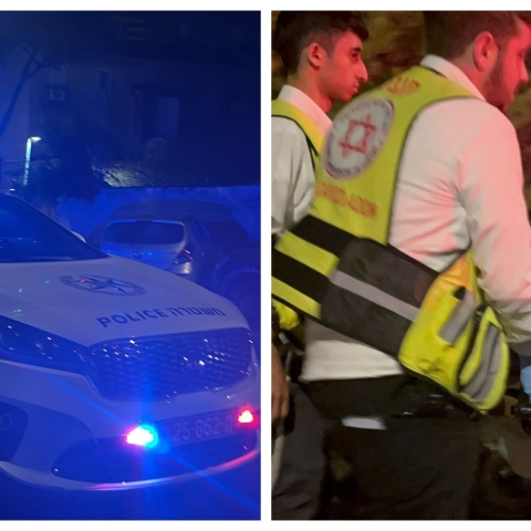 ממשיכים את מלחמת הרימונים! רימון הושלך לעבר חצר בית, כלב המשפחה מת - חדשות בפתח תקווה