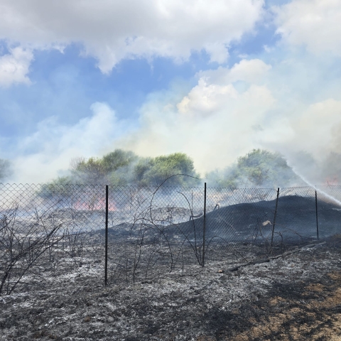 שריפת קוצים גדולה פרצה באזור צומת ירקונים - חדשות בפתח תקווה