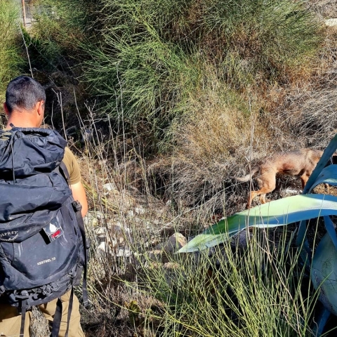 לאחר חיפושים קדחתניים אחר הנעדר מפ"ת - חדשות בפתח תקווה