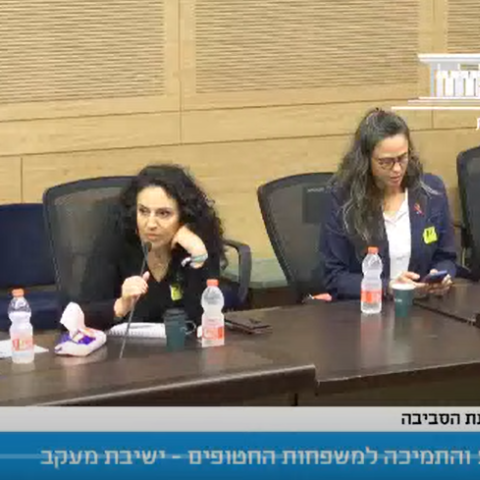 דודתה של ענבר היימן ז"ל מפ"ת, בכנסת: "איפה המענה שהבטחתם למשפחות של החטופים החללים?" - חדשות בפתח תקווה