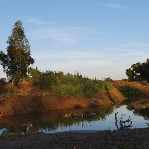 חנוכת מקטע "הדר הירקון" - משקמים את הנחל ומחזירים את הירוק למטרופולין - איכות הסביבה וחזות העיר בפתח תקווה