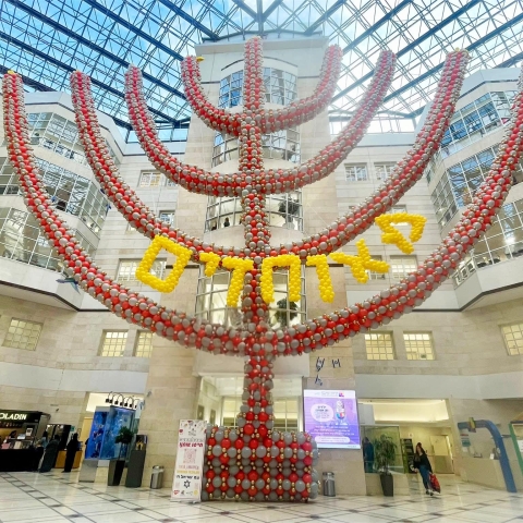 החנוכייה הגדולה בעולם הוקמה במרכז שניידר לרפואת ילדים - צפו - בריאות בפתח תקווה