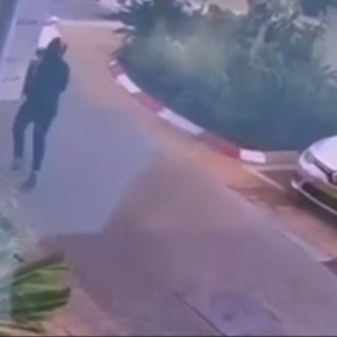 שחקן העבר של מכבי פ"ת הותקף וכלבתו נחטפה  - צפו - חדשות בפתח תקווה