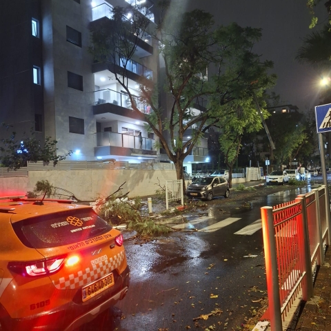 מפגעי מזג האויר בפ"ת: פרגולה עפה ממרפסת דירה, עץ קרס על רכב - חדשות בפתח תקווה