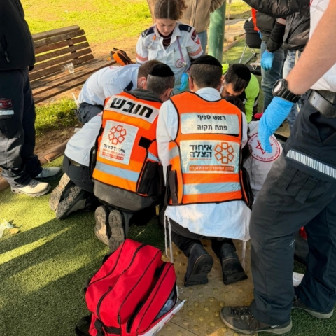 בתוך שעה: פעוטות איבדו הכרה בירושלים, בצפת ובמגשימים סמוך לפתח תקווה - חדשות בפתח תקווה