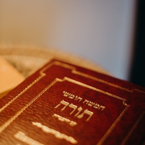 לימודי תורה לצד מקצוע: המסלולים שמאפשרים להתפרנס בכבוד מעבודות קודש - קהילות בפתח תקווה