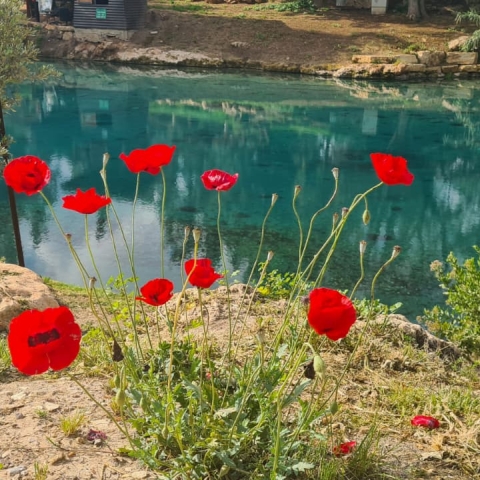 מרבית הגנים הלאומיים ושמורות הטבע ברחבי הארץ נפתחים מחדש - טיולים ונופש בפתח תקווה