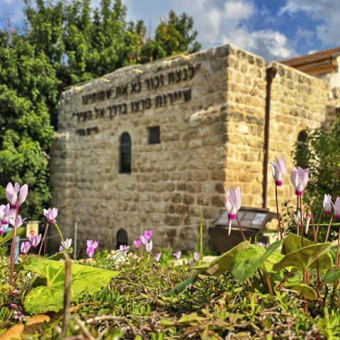 לטייל ביום העצמאות עם רשות הטבע והגנים - טיולים ונופש בפתח תקווה