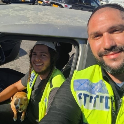 הלכו לקניות ב'אושר עד' והשאירו את הכלב ברכב - בעלי חיים בפתח תקווה
