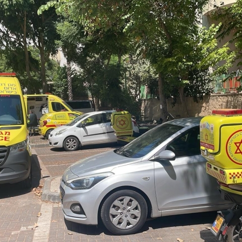 אישה ננשכה ע"י כלב בדירה בשכונת עמישב בפתח תקווה - מצבה בינוני - חדשות בפתח תקווה