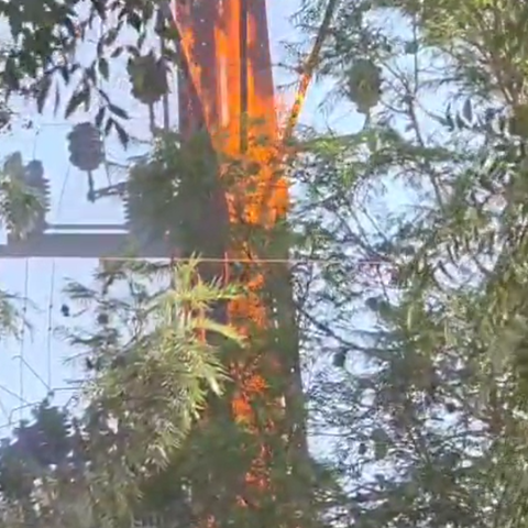 שריפה בעמוד חשמל גרמה להפסקת חשמל ממושכת במספר רחובות בפתח תקווה - חדשות בפתח תקווה