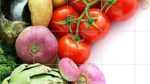 מה אמר ירקן בפתח תקוה - חדשות בפתח תקווה
