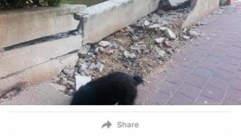 ככה לא בונים חומה! - איכות הסביבה וחזות העיר בפתח תקווה