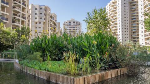 השמאי הממשלתי: מחירי הדיור בפ"ת - בנייה ונדל