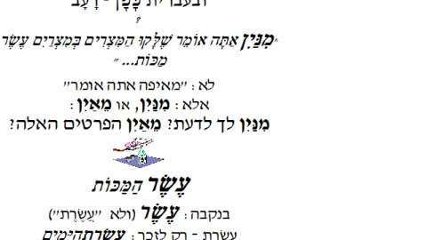 פסח כשר ותקין תחבירית